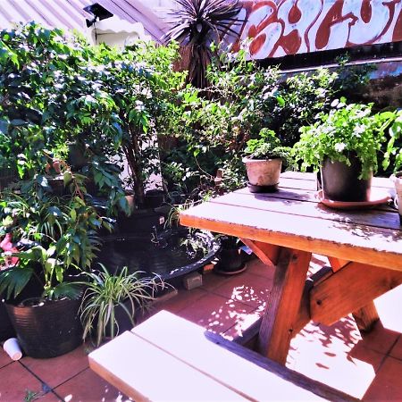 Asylum Sydney Backpackers Hostel Zewnętrze zdjęcie