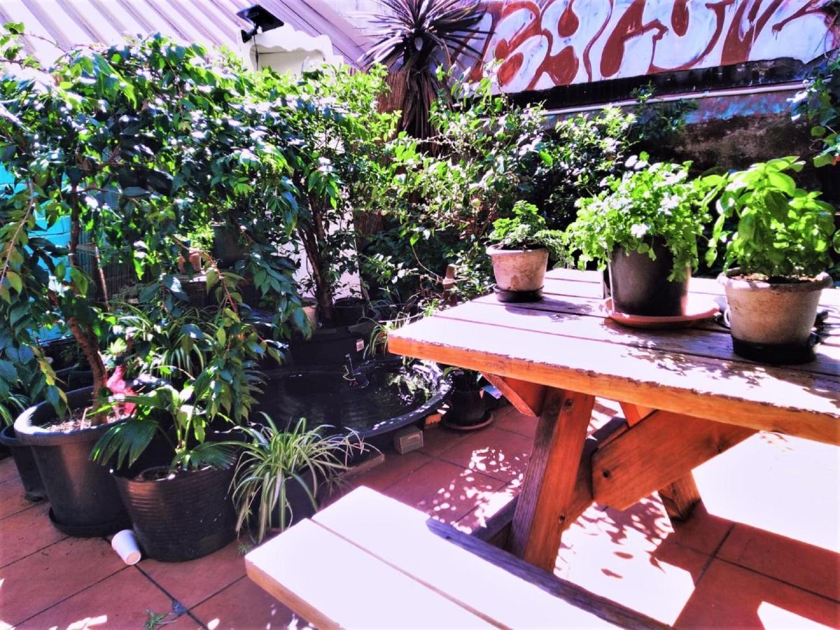 Asylum Sydney Backpackers Hostel Zewnętrze zdjęcie
